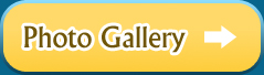 photo-gallery