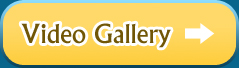 video-gallery